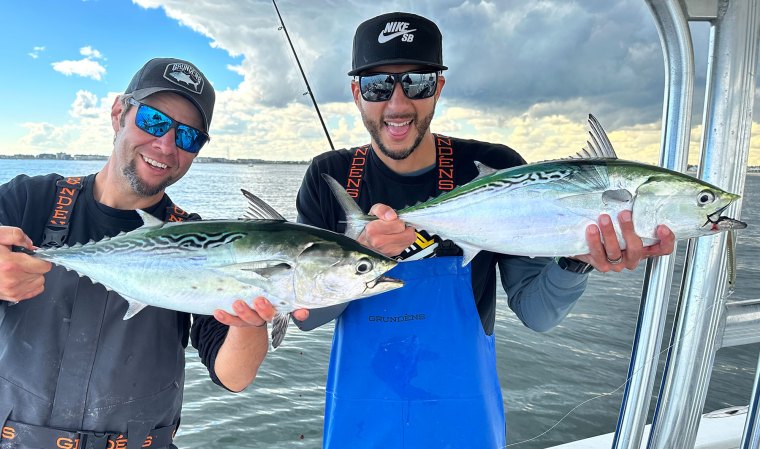 How to Get In on the False Albacore Run This Fall