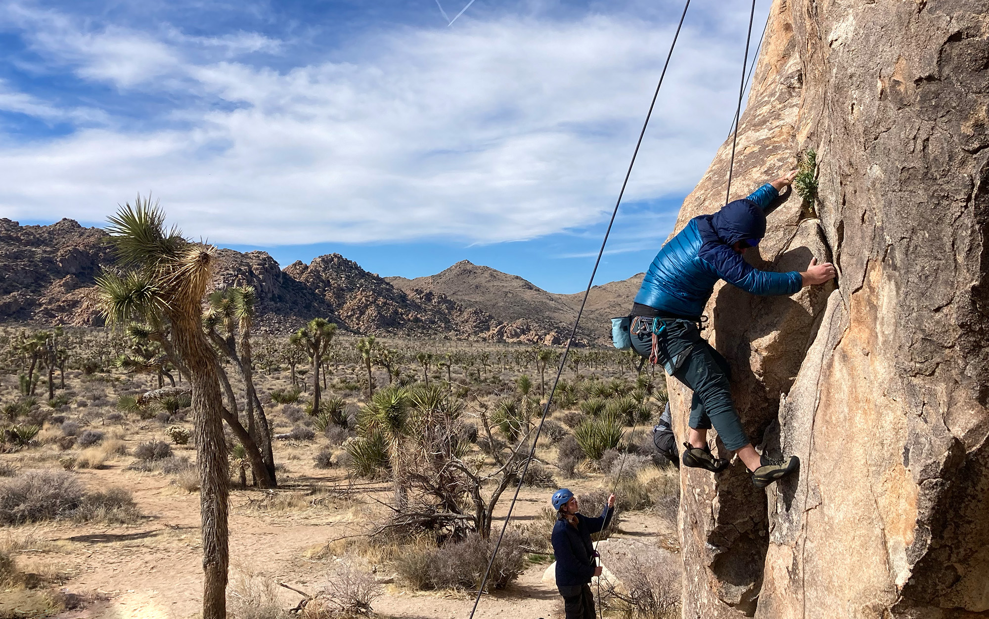 Climber ascends route in Joshua Tree.