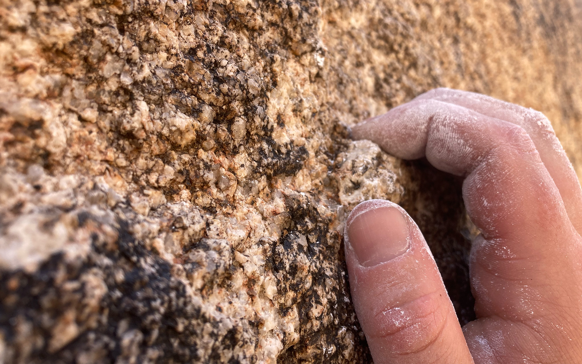 Climbed grips rock with chalk on his hands.