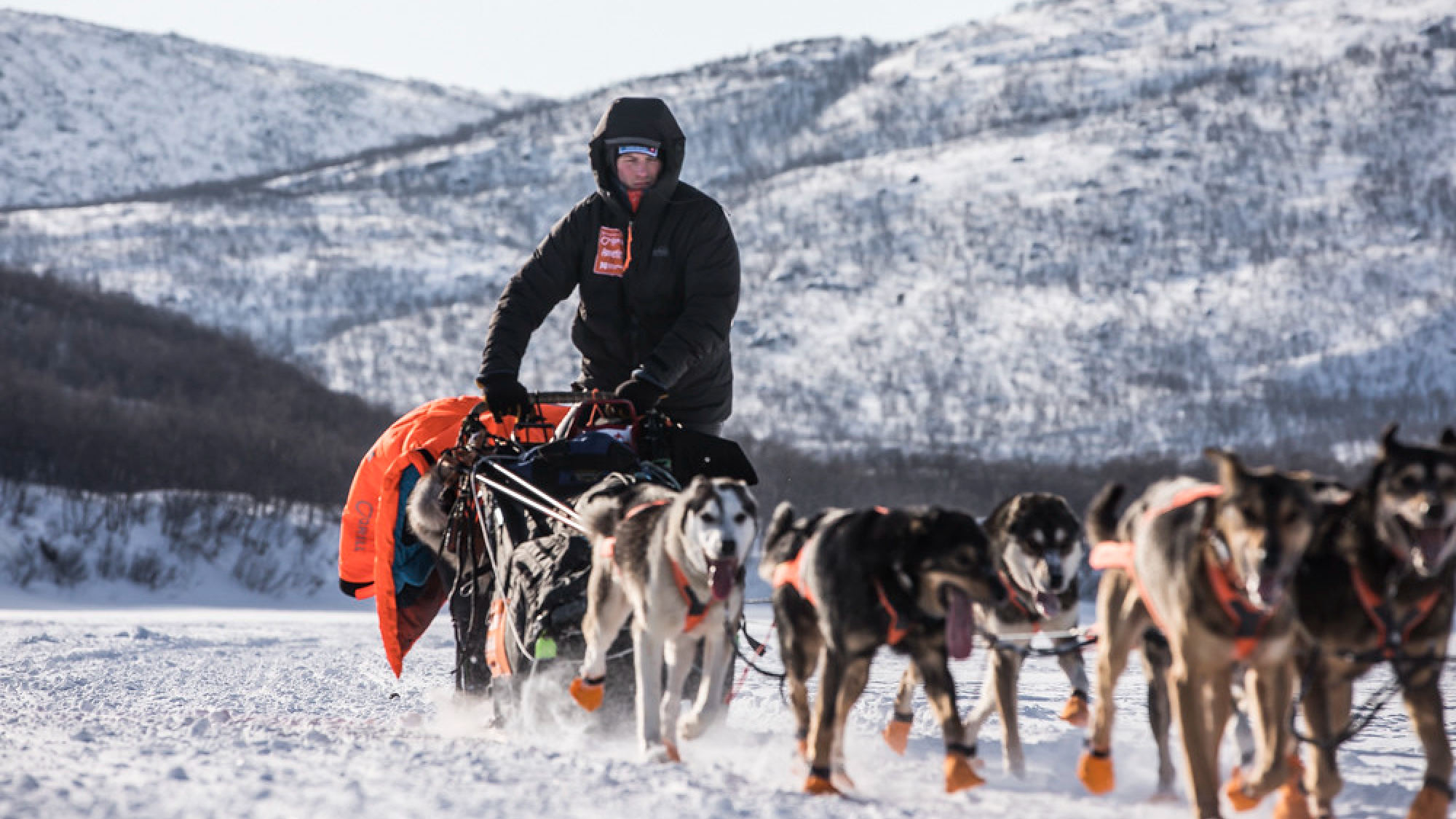 Iditarod musher Dallas Seavey with his team of dogs.
