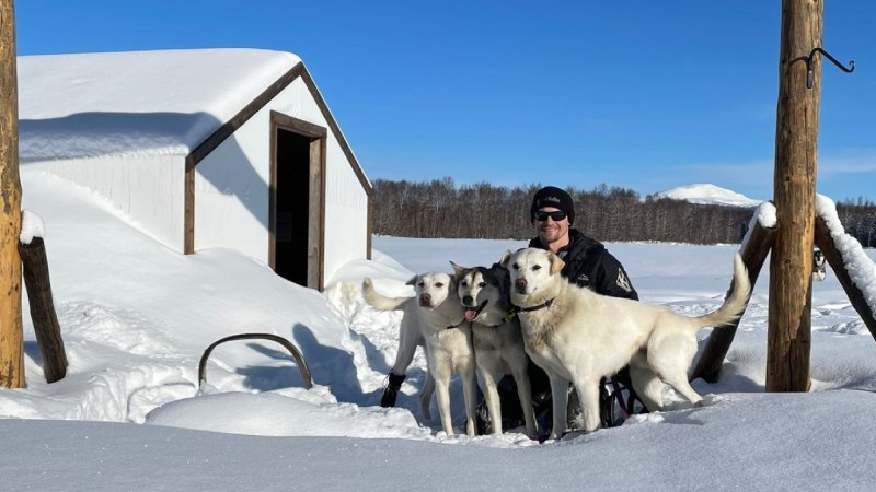 Dallas Seavey with his team of sled dogs.