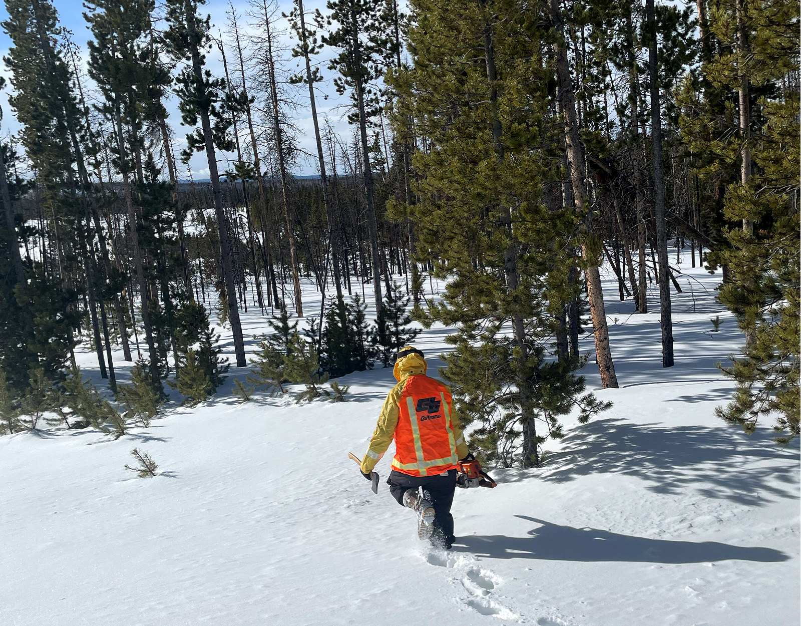 A man carries a chainsaw into snowy woods.