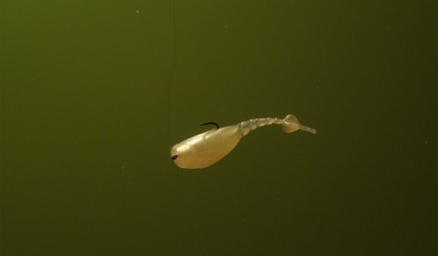 The Best Fishing Lines for Crappie Braid, Mono, Copolymer, and