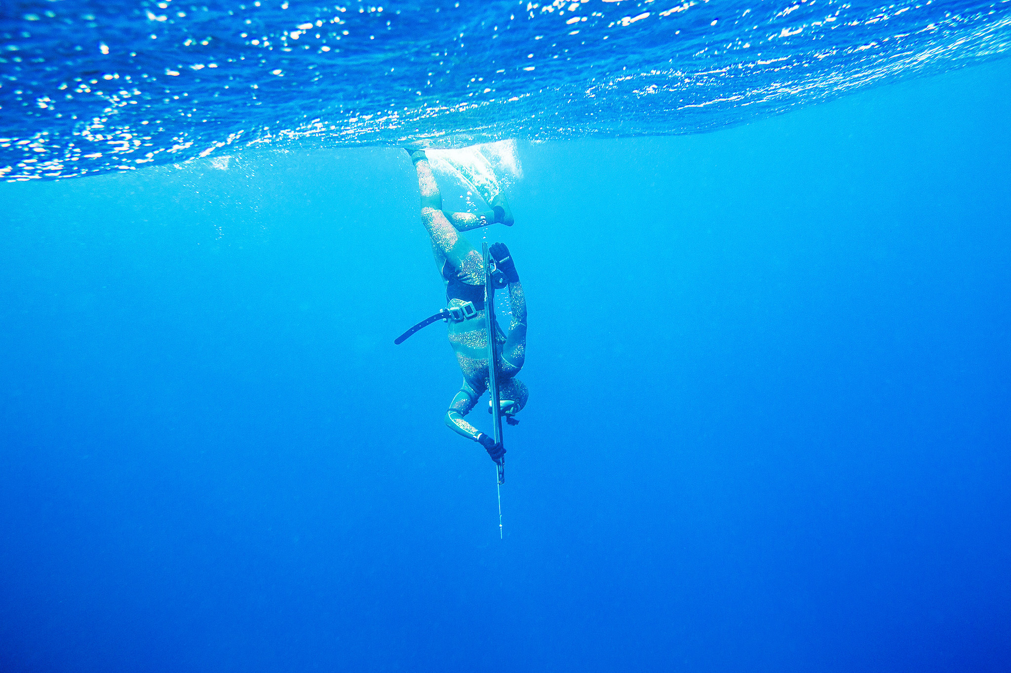 A spearfisherman freedives straight down in the ocean.