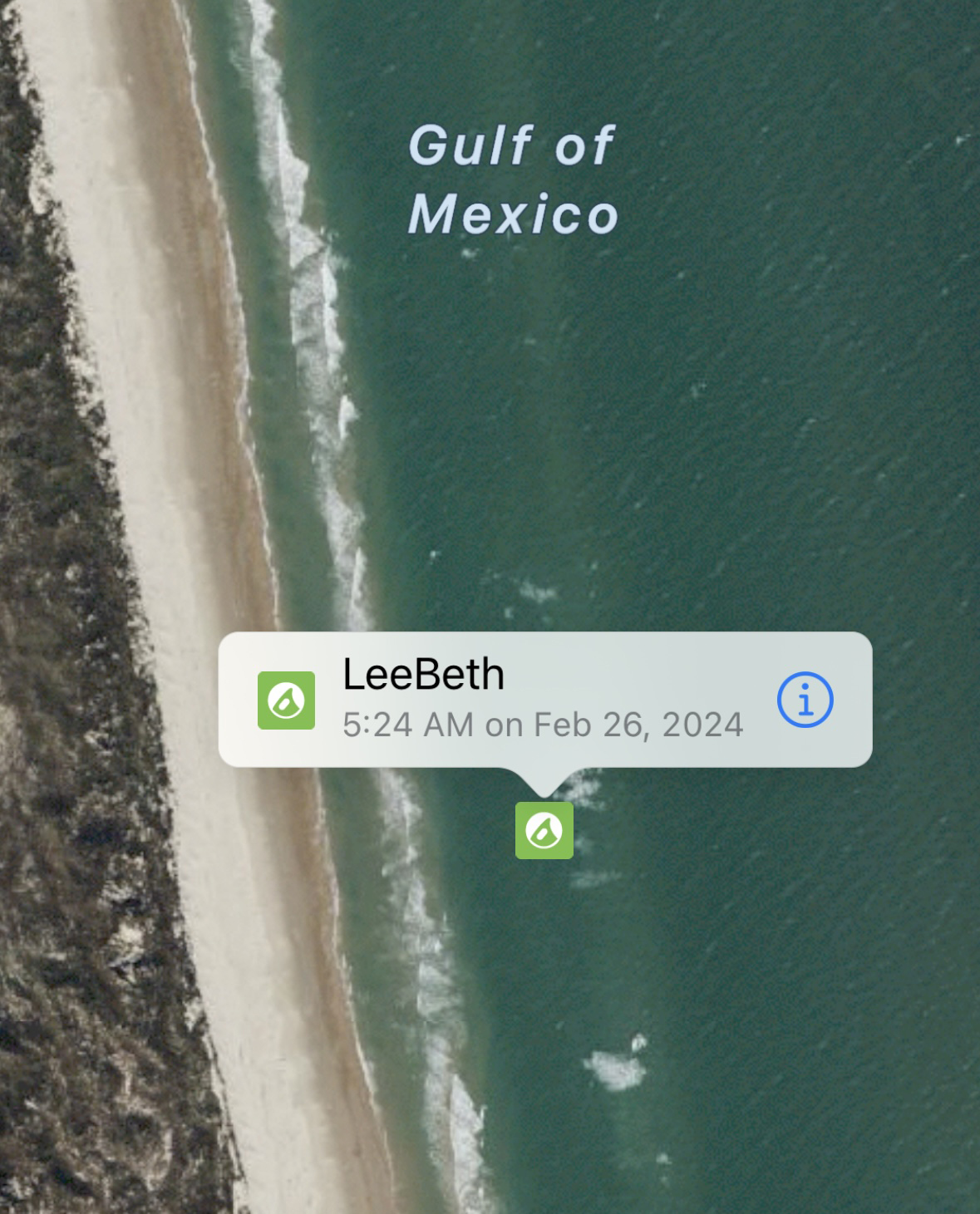 A screenshot of LeeBeth the shark off the coast of Padre Island in February.