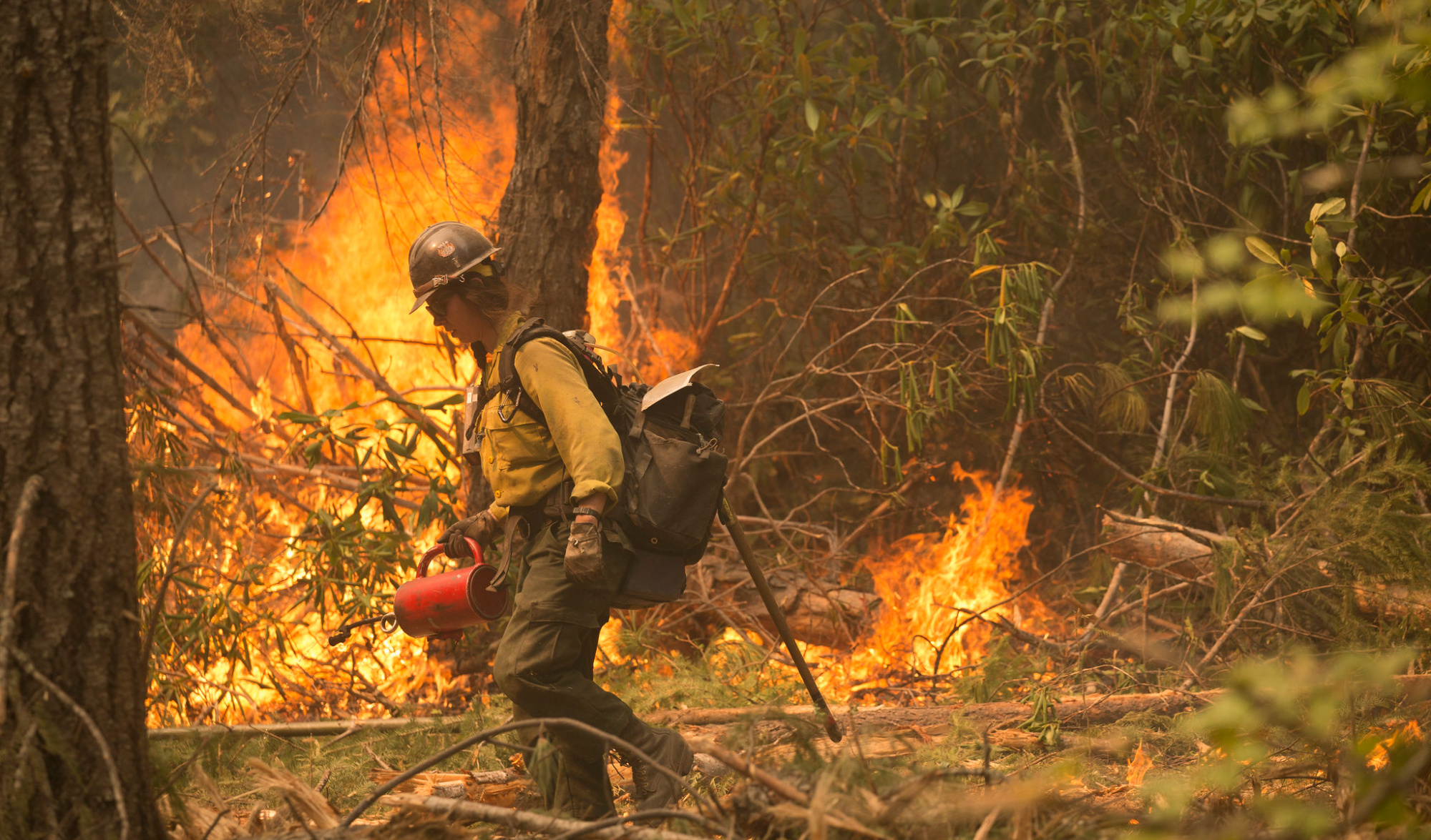 A wildland firefighter conducts prescribed burns to reduce wildfire risk.