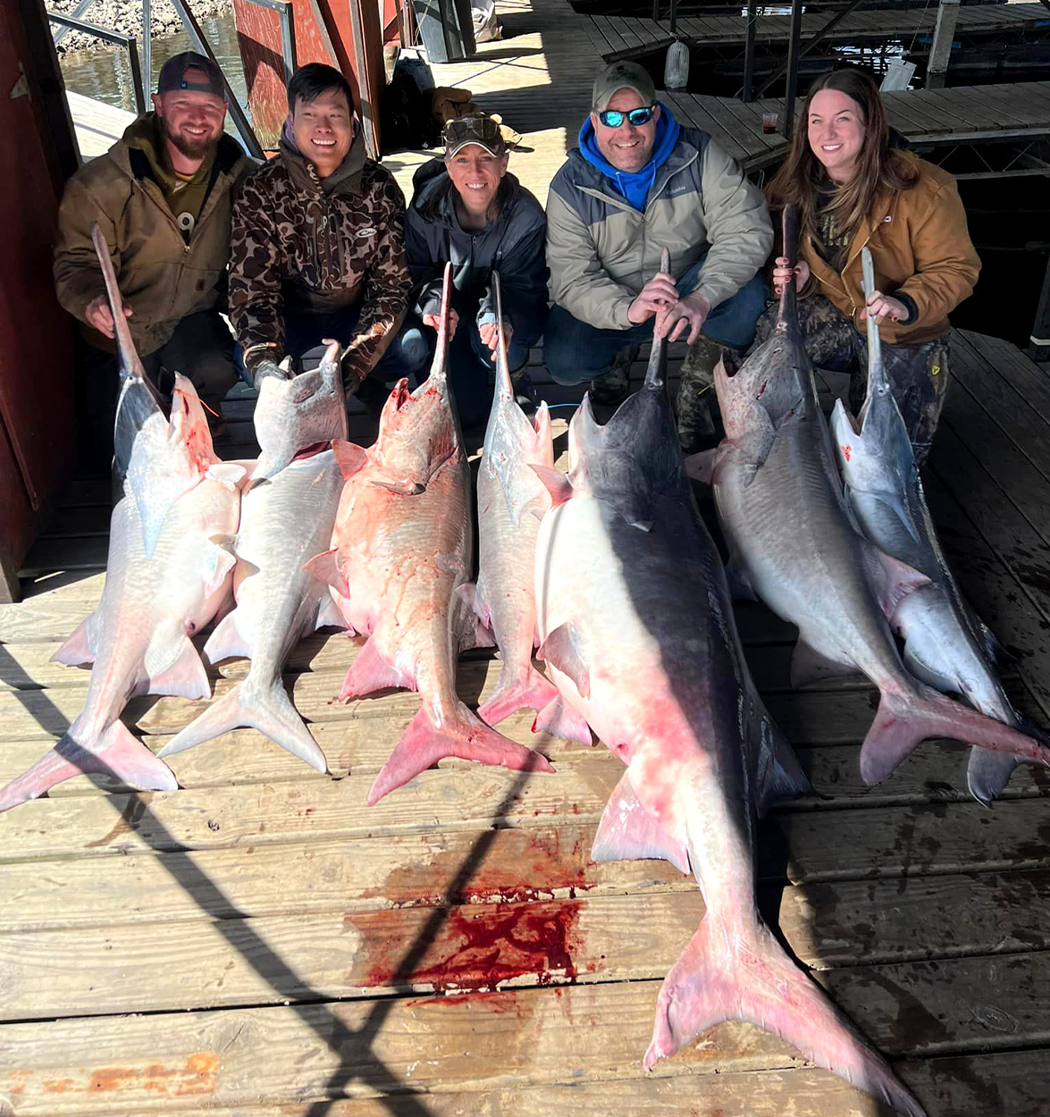 A group of anglers hold up the paddlefish they snagged.