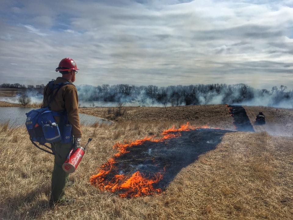 A firefighter monitors a controlled burn in a waterfowl production area.
