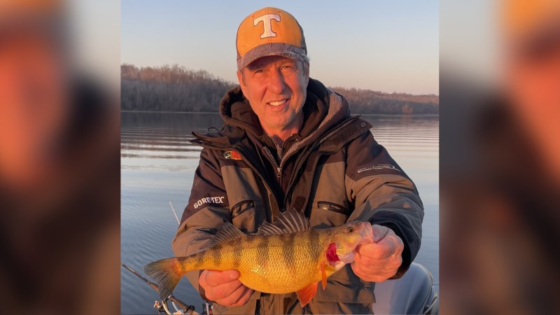Jumbo Yellow Perch Caught by Pennsylvania Angler Should Tie the State Record