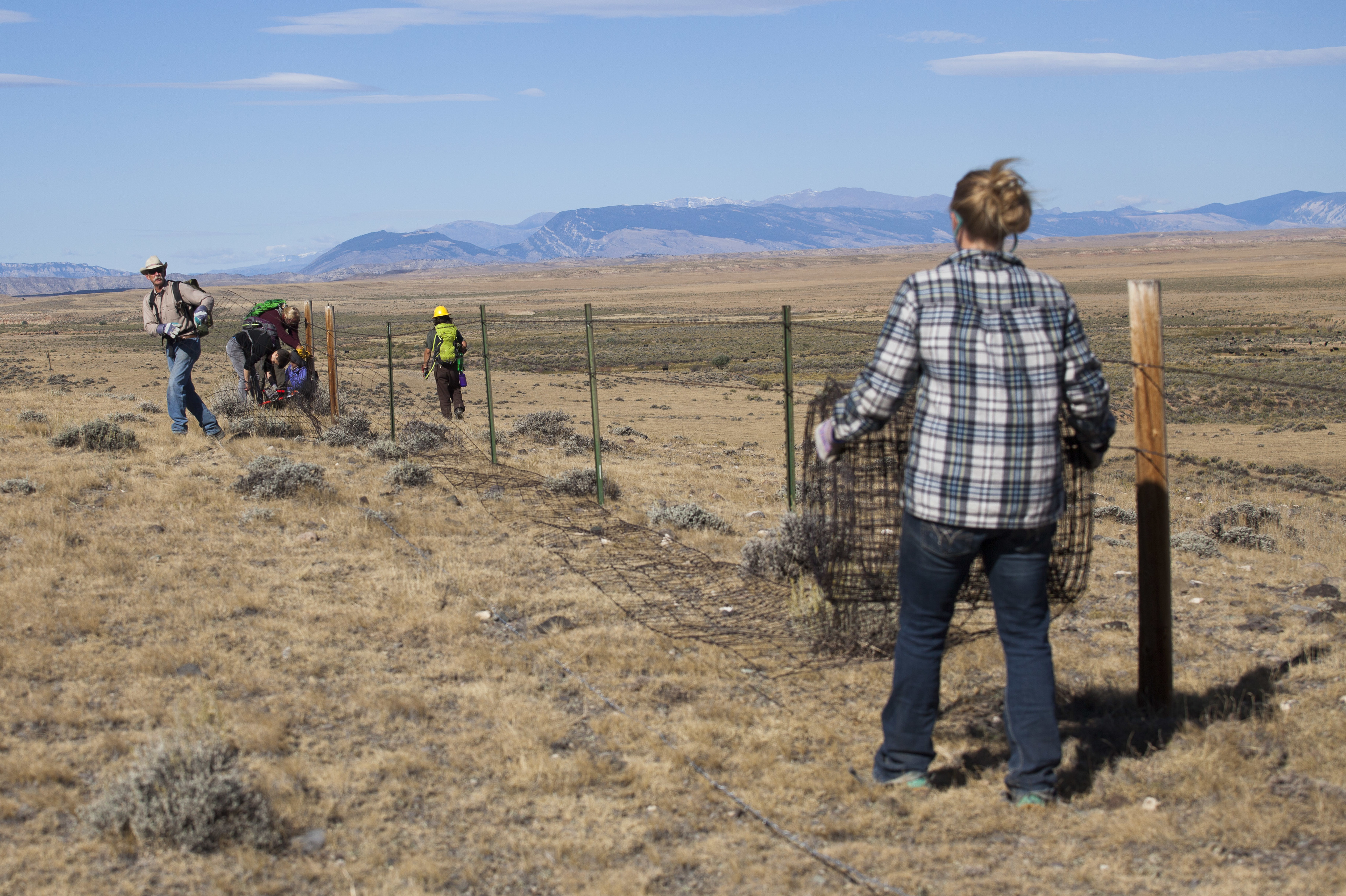 A group of volunteers remove net fencing in Wyoming.