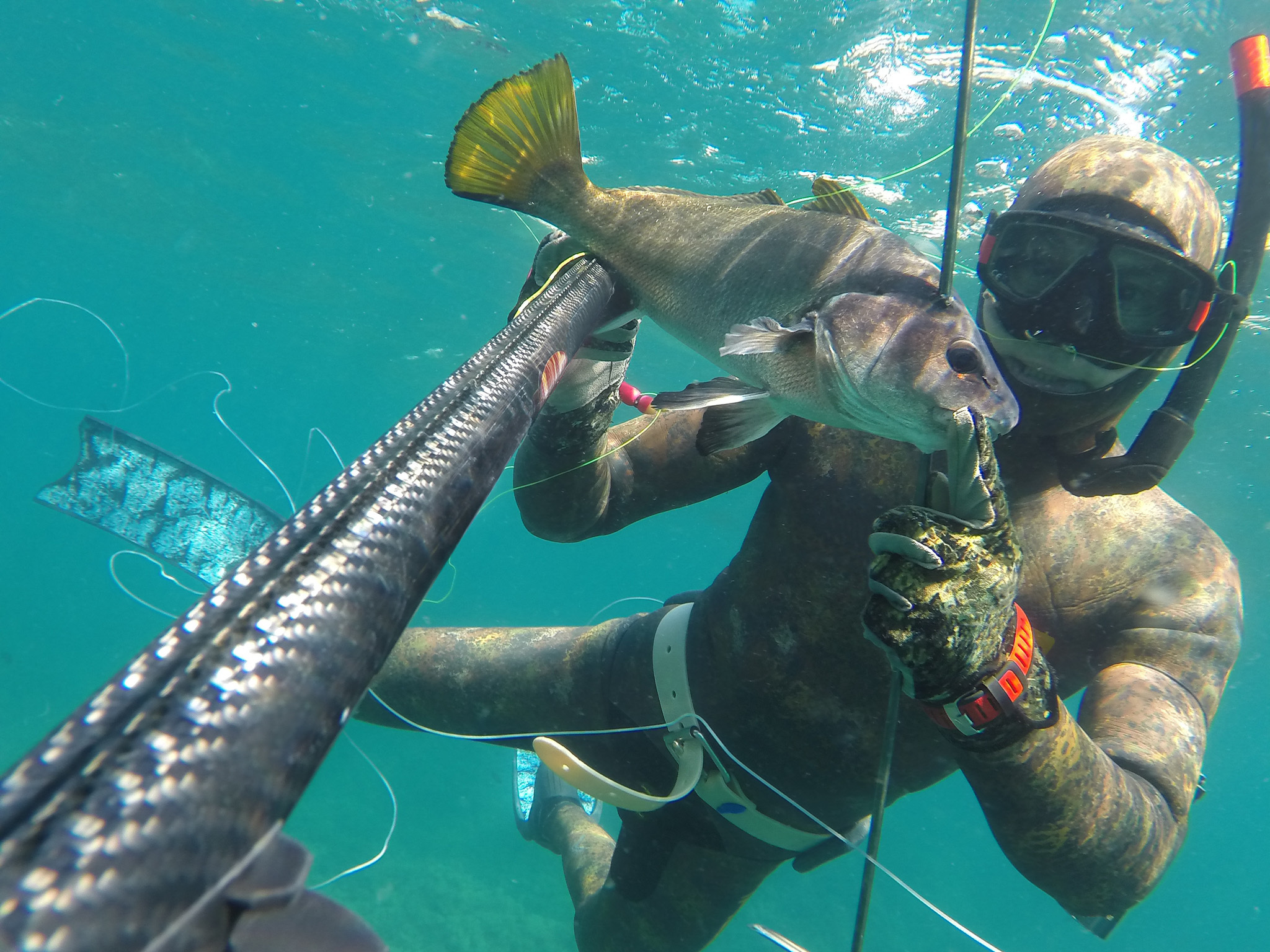 A spearfisherman holds a small fish on a spear.