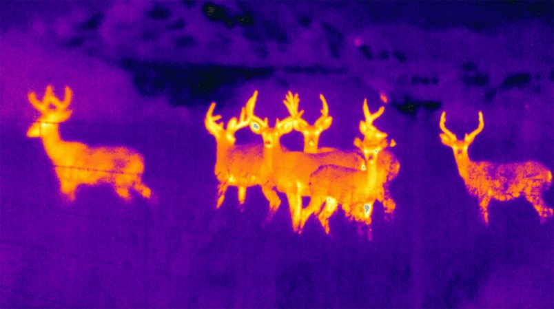 Will Thermals Change the Way We Hunt?