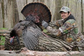 Turkey Calling Tips: How to Call a Turkey | Outdoor Life