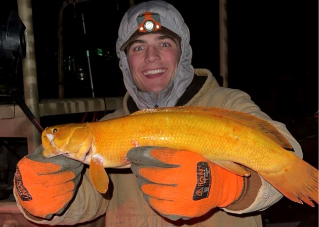 A Wisconsin angler with a golden bowfin.