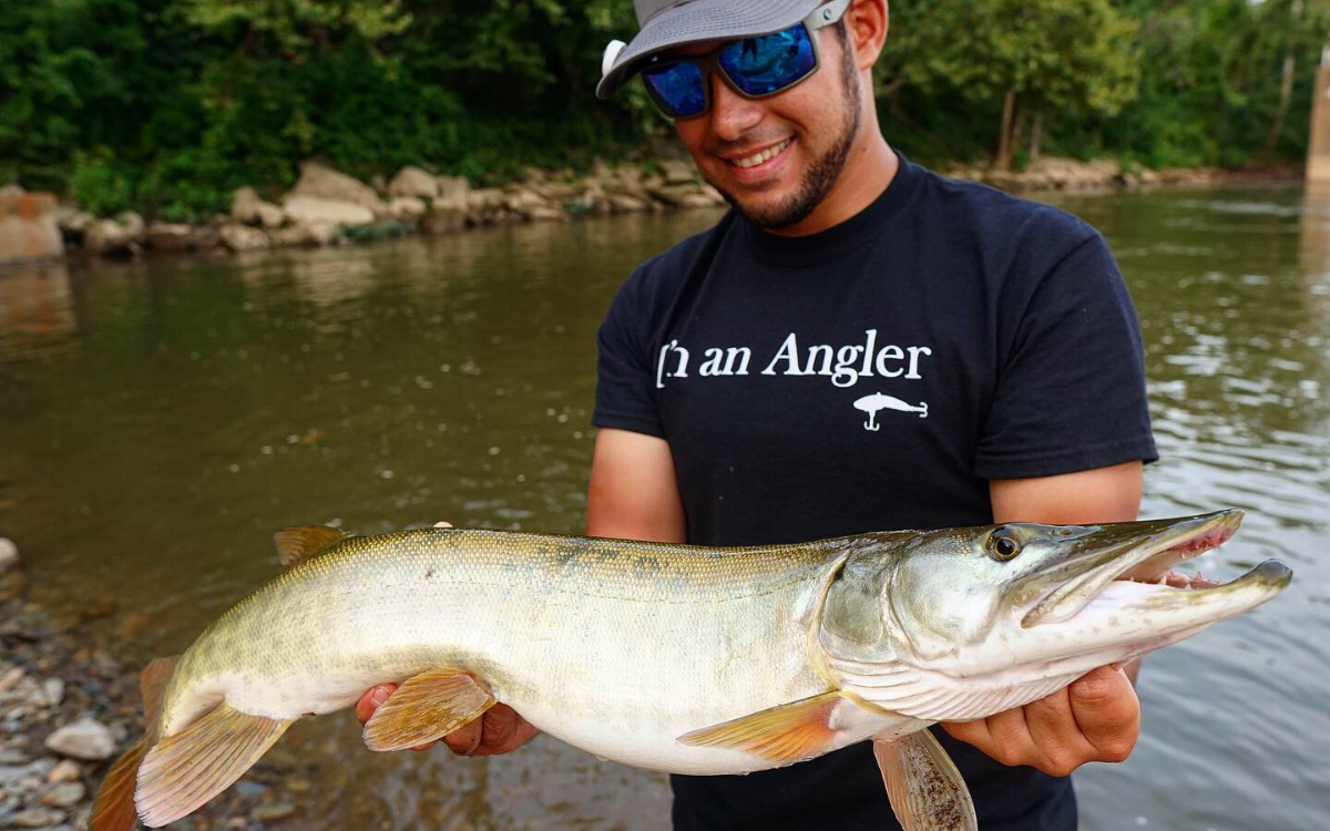 A ned rig can catch species beyond bass like this muskie. 