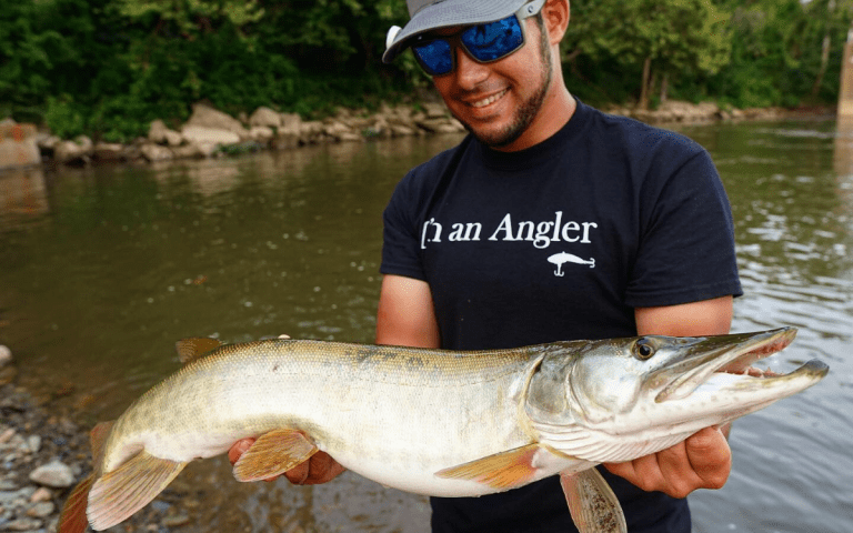 The Ned Rig: A Complete Guide to Baits, Gear, and How to Fish It