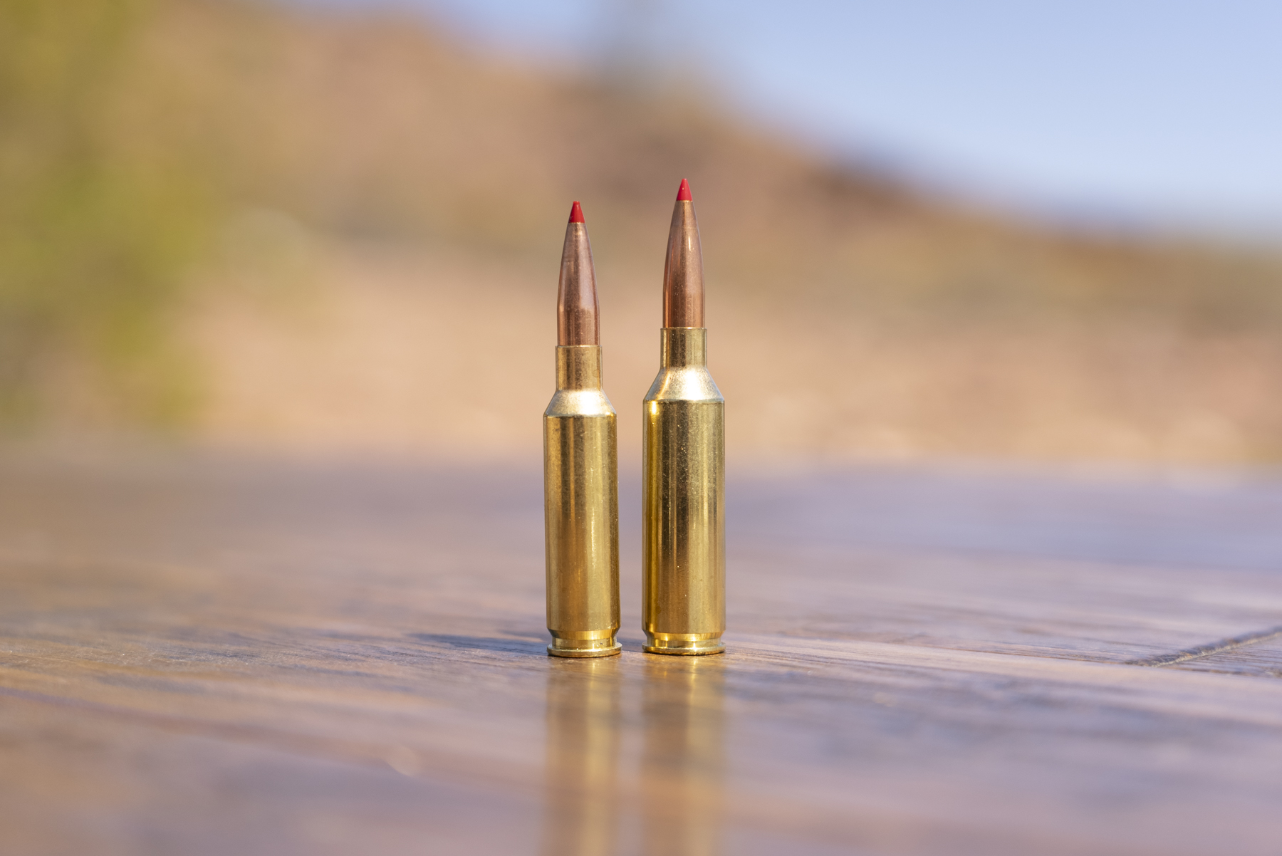 The Best 5.56 Ammo of 2024