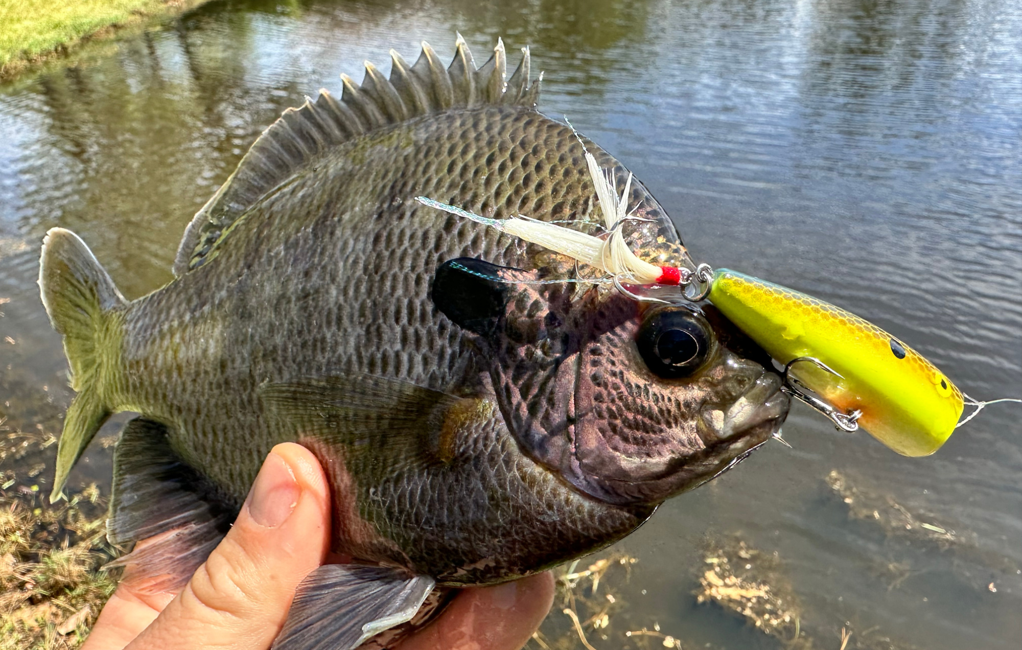 How To Make Your Own Wine-Cork Popping Bugs for Bass Fishing