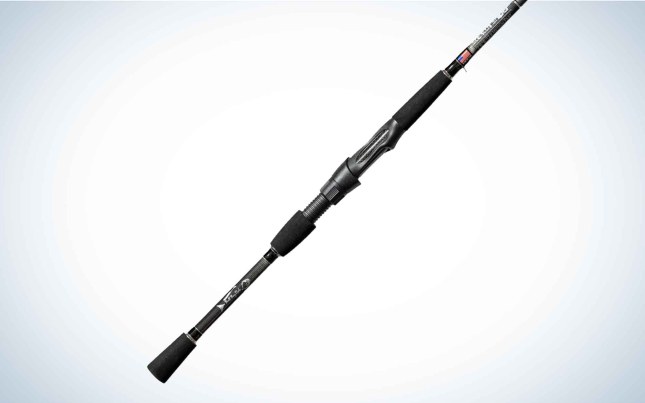 Best Inshore Spinning Rods of 2024, Tested and Reviewed