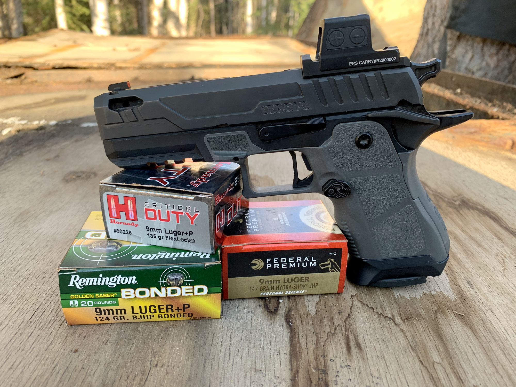 Oracle Arms 2311 Compact Pro and ammo