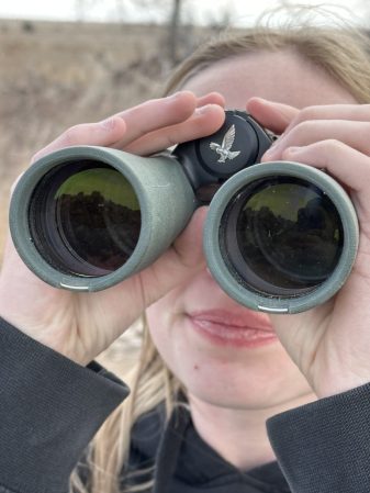 The 7 Best Binoculars for Bird Watching, Tested and Reviewed