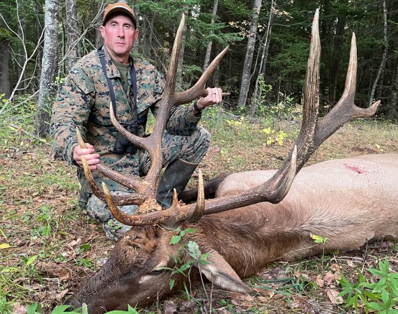 Tales from the North Country: When a Giant Bull Elk Escaped from a Wisconsin Game Farm, Authorities Called Upon a Retired Marine