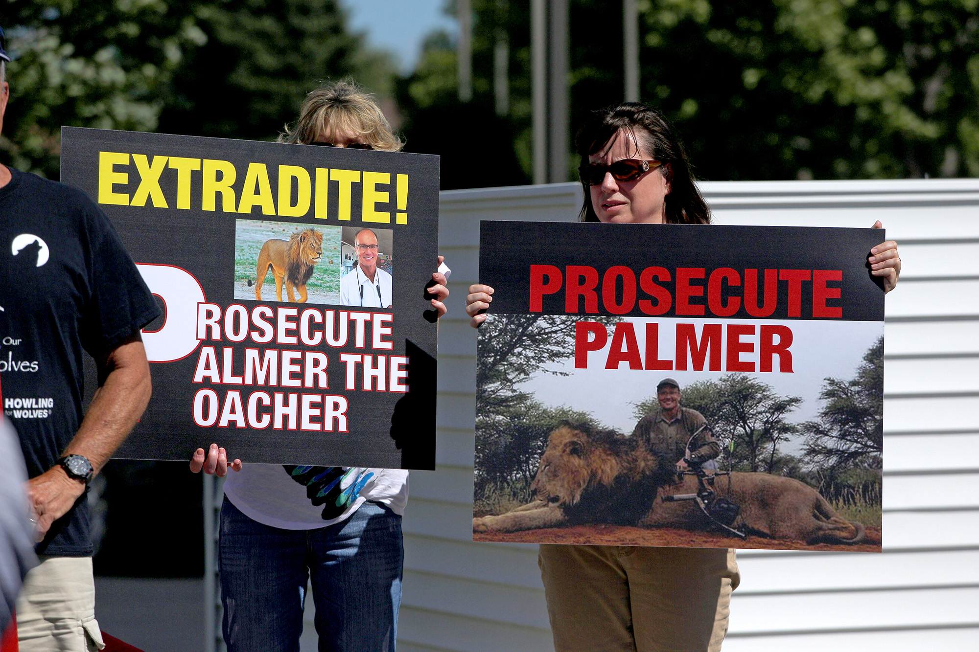 Protesters call attention to the killing of Cecil the lion.