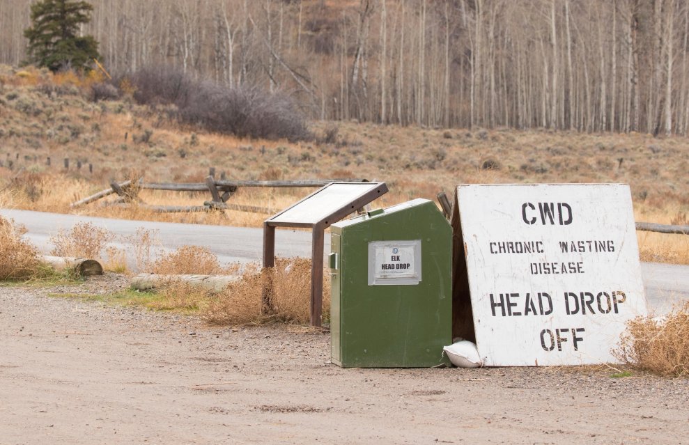 Viral Articles Falsely Suggest Chronic Wasting Disease Jumped to Humans