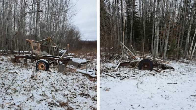 Minnesota DNR Foresters Blew Up Illegal Tree Stands with Dynamite