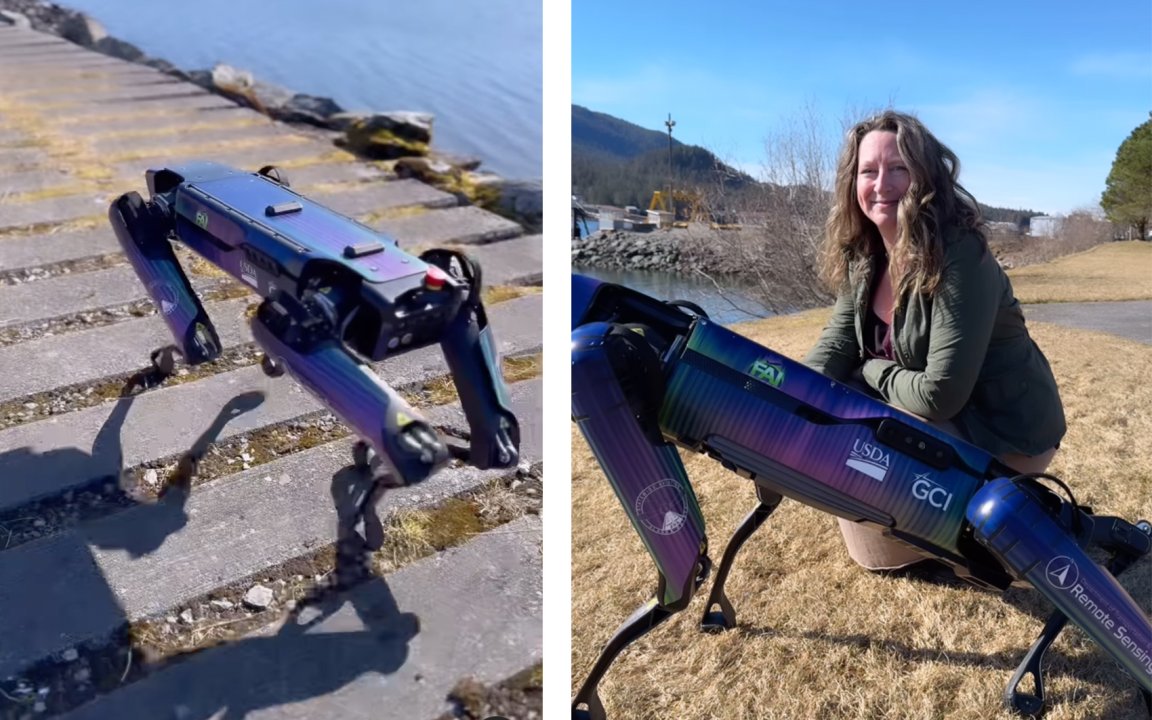 A robotic dog patrols the Fairbanks airport.