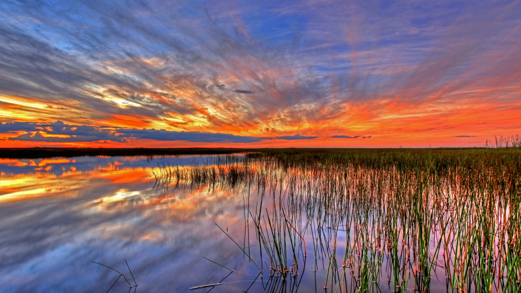 A sunset over the Florida Everglades.