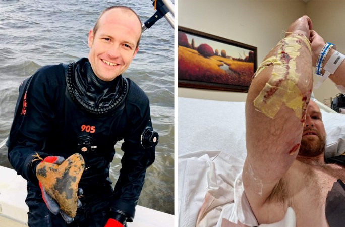 Fossil Hunter Fights Off Gator Attack, with a Screwdriver, While Trapped Underwater