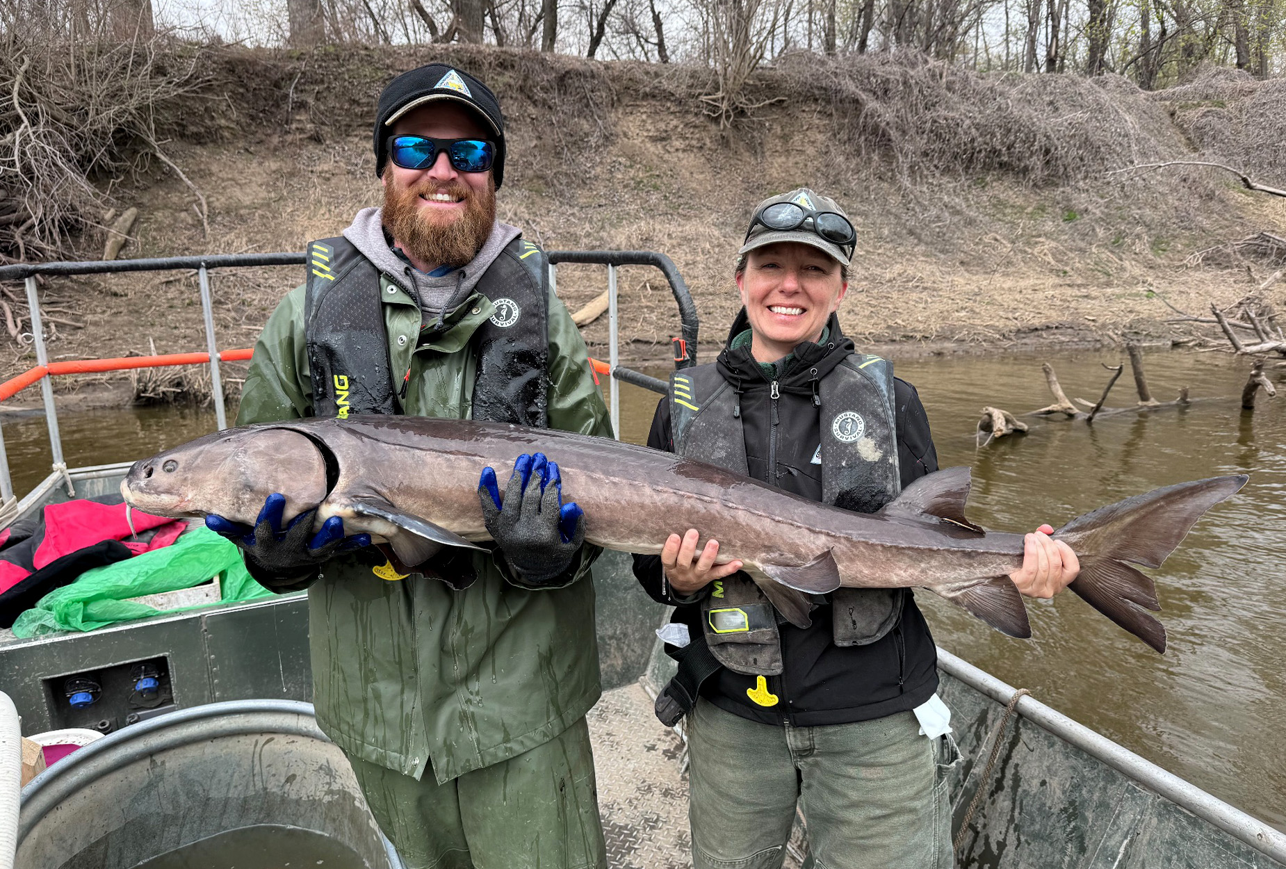 Two fisheries biologists hold up a lake sturgeon.