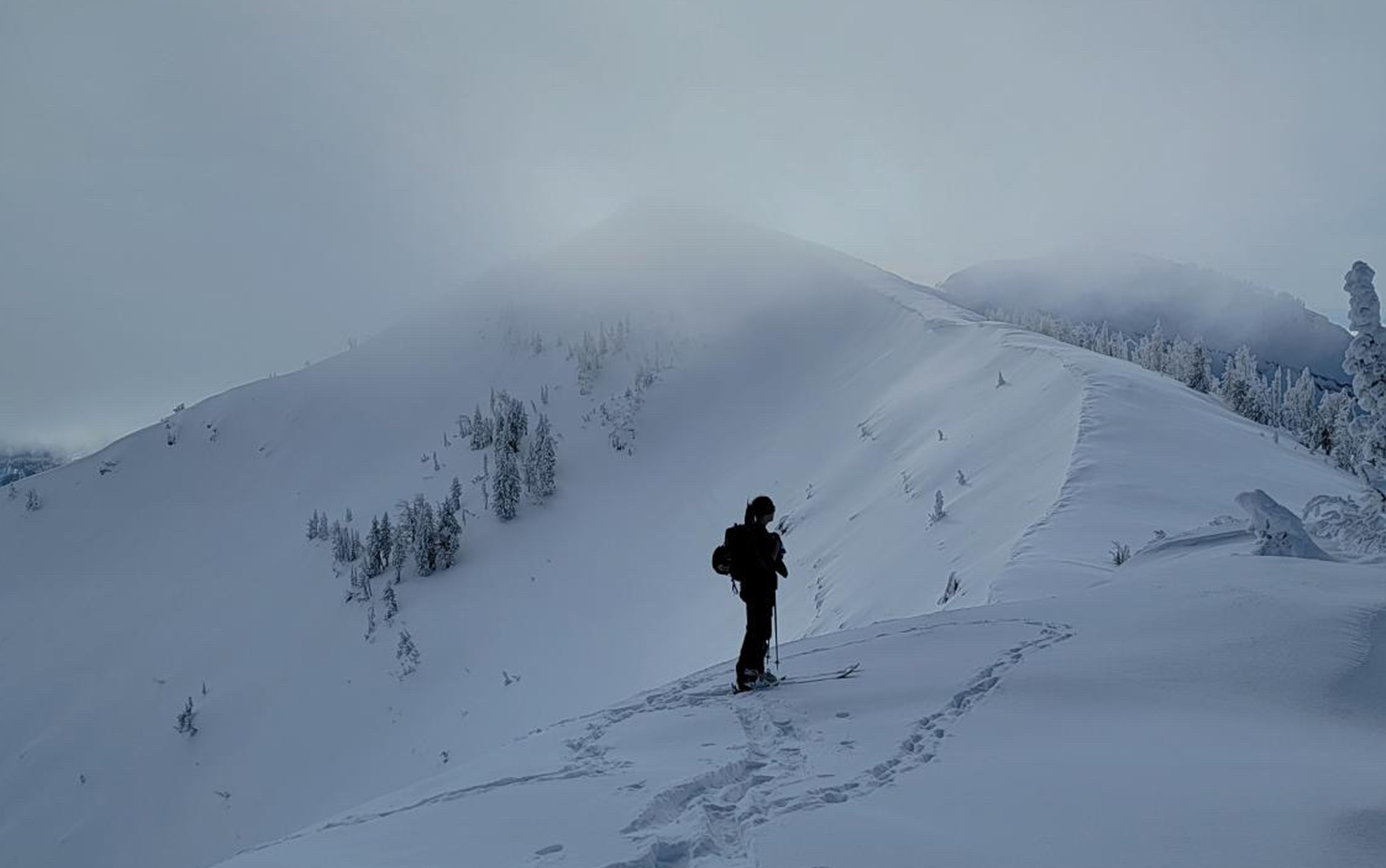 Skier stands near summit.