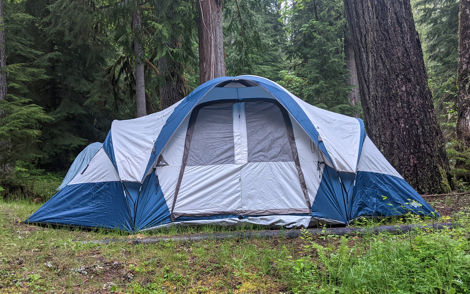 Best 10-Person Tents of 2026, Tested and Reviewed