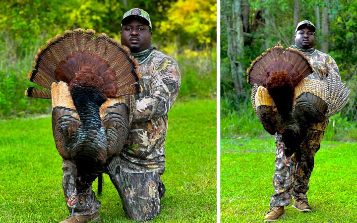 ‘I Couldn’t Believe How Awesome He Looked.’ Hunter Tags Rare Red Turkey After Two Years