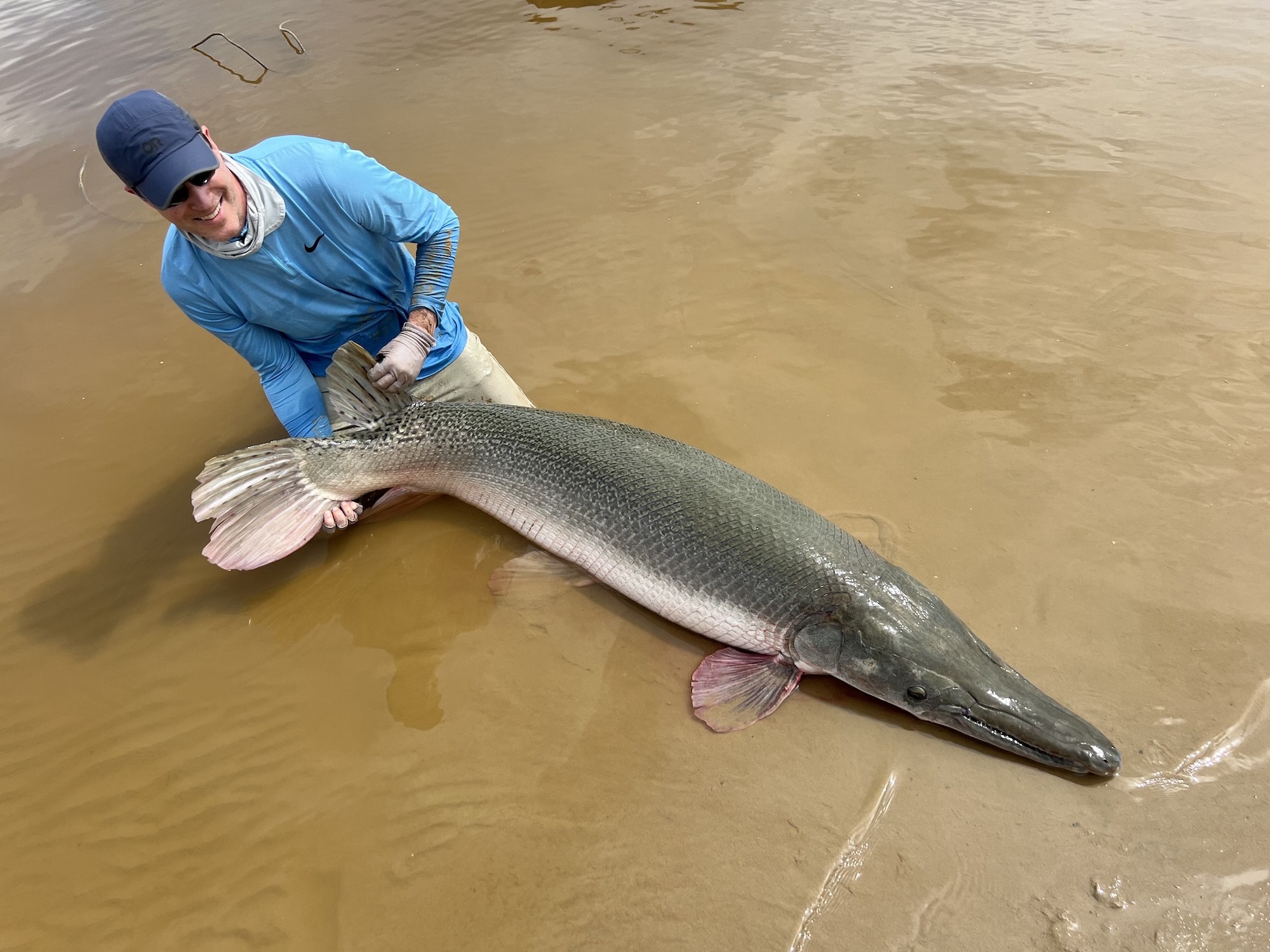 Angler with giant alligator gar in water.