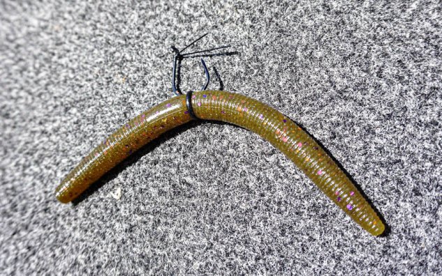 Crazy Rig How to Fish a Wacky Rig: One of the Easiest Ways to Catch Big Bass ...