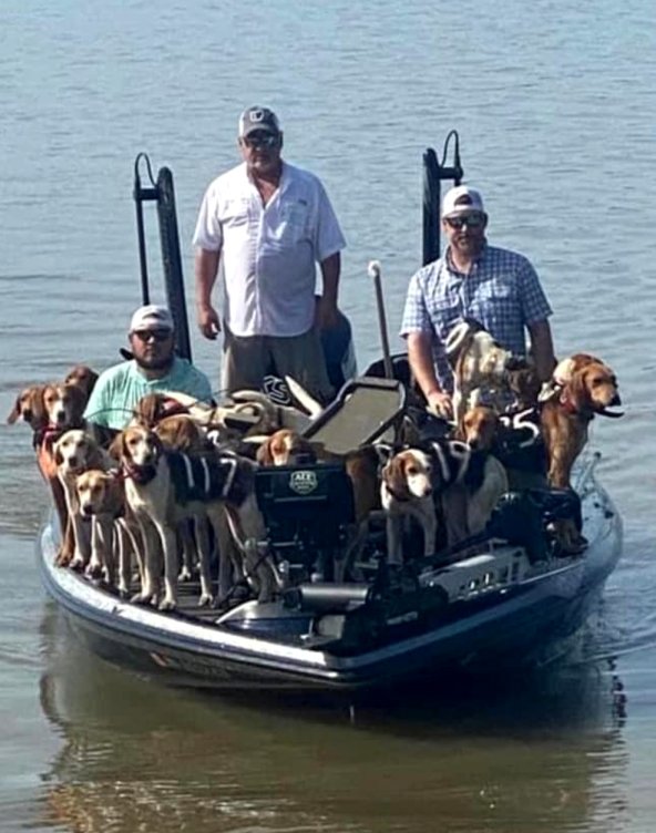 Crappie Fishermen Save 38 Dogs from Drowning in Mississippi's Grenada ...
