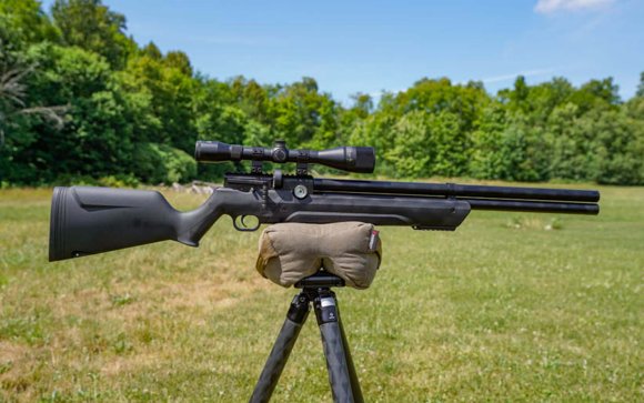 Best budget air rifle