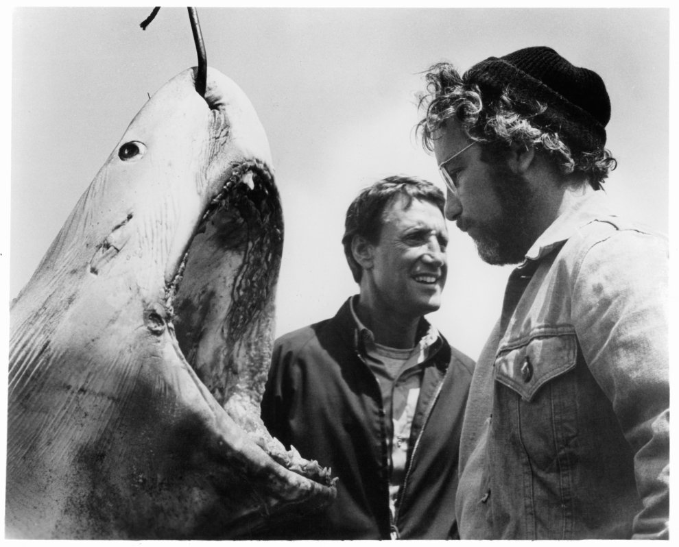 The Weirdest Things Ever Found Inside a Shark’s Stomach