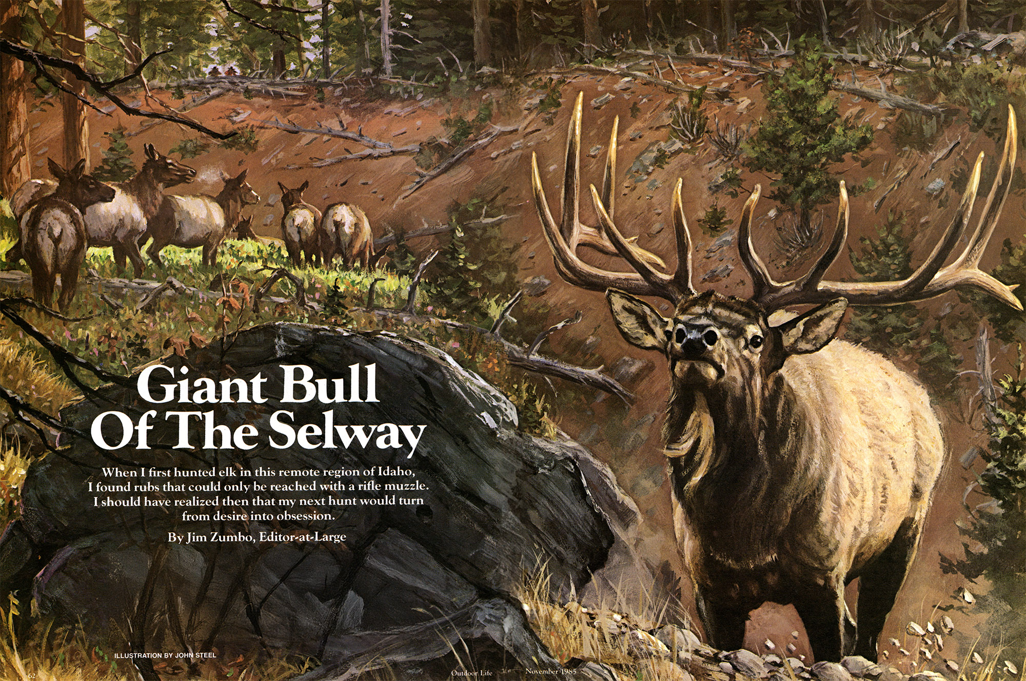 Zumbo in Idaho Stalking a Giant Bull in the Selway Wilderness