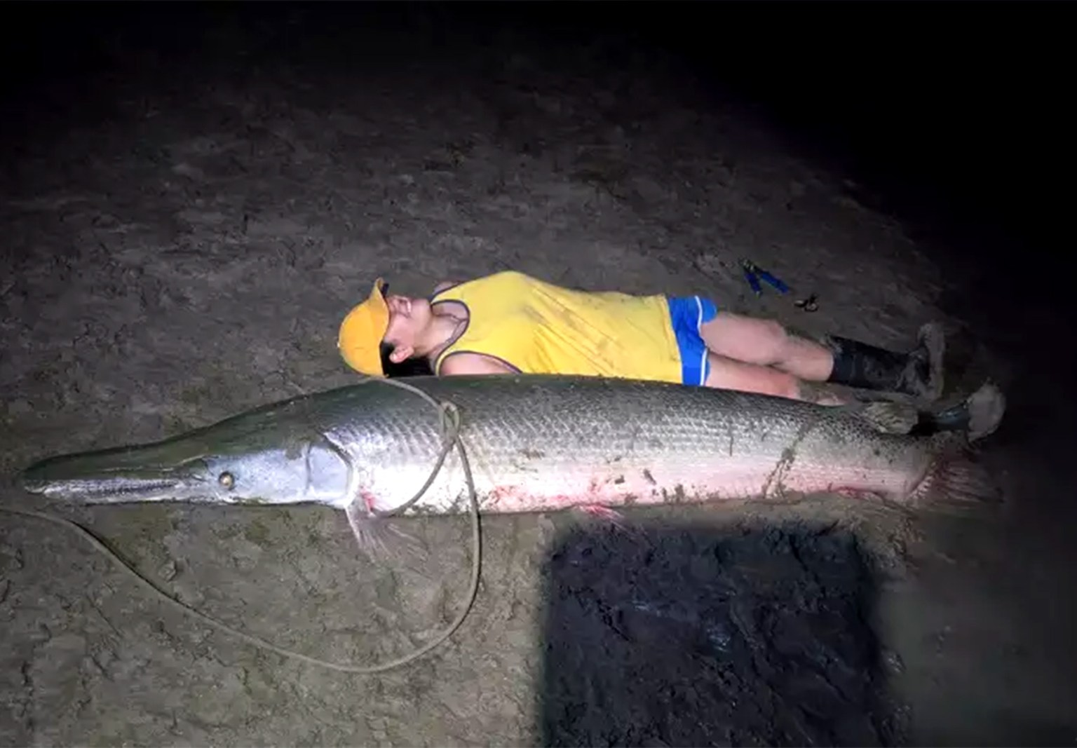 Alligator Gar Released in Texas Could Be the Biggest Ever Caught by a ...