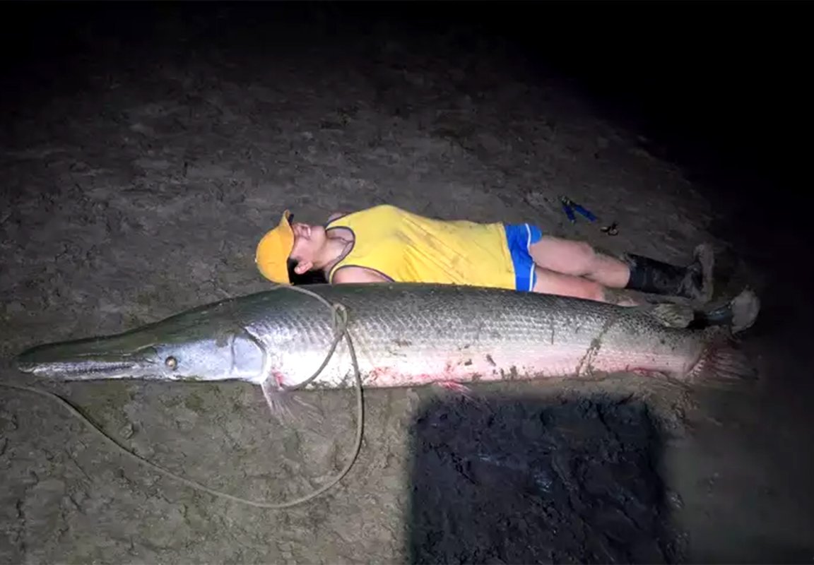 An angler lies next to a massive alligator gar.
