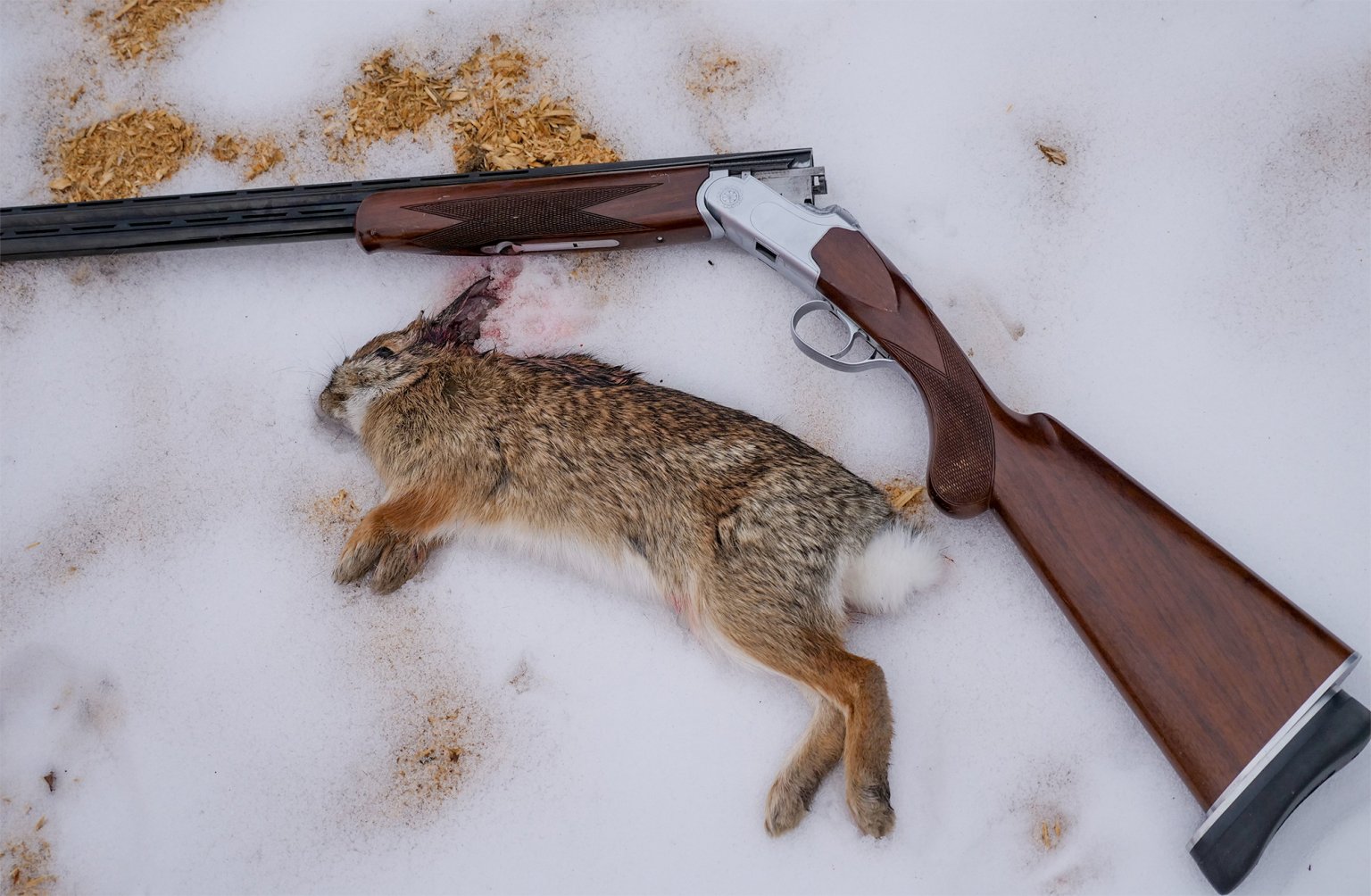 How to Skin a Rabbit | Outdoor Life