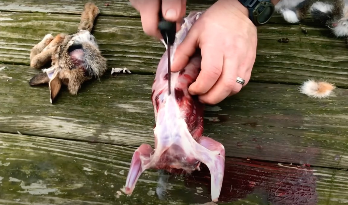 Skin Scrape For Rabbits How to Skin a Rabbit | Outdoor Life