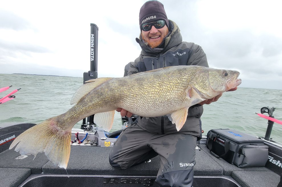 These Giant Walleyes Are Tracked By Advanced Tech and a Fanatical Fishing Culture