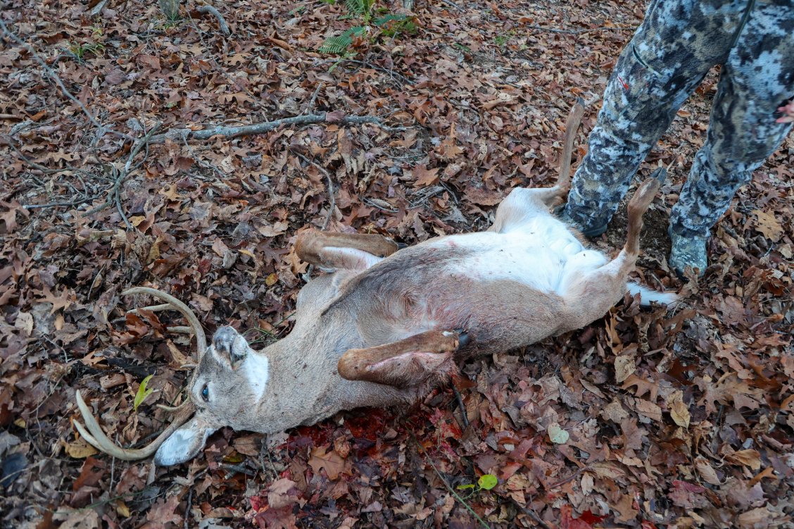 Deer Getting Ready How to Field Dress a Deer | Outdoor Life