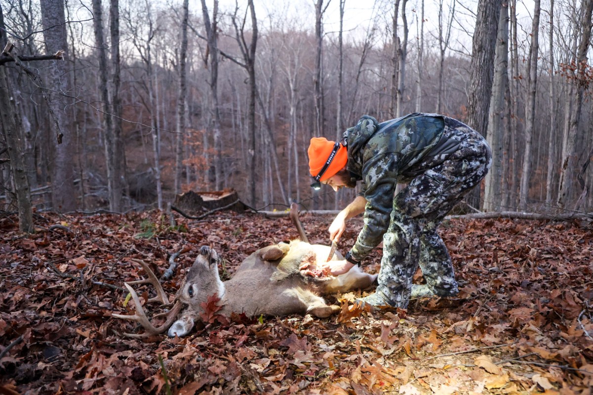 9 Expert Field Dressing Tips That Will Make Gutting a Deer Much Easier | Outdoor Life 9 Expert Field Dressing Tips That Will Make Gutting a Deer Much Easier | Outdoor Life