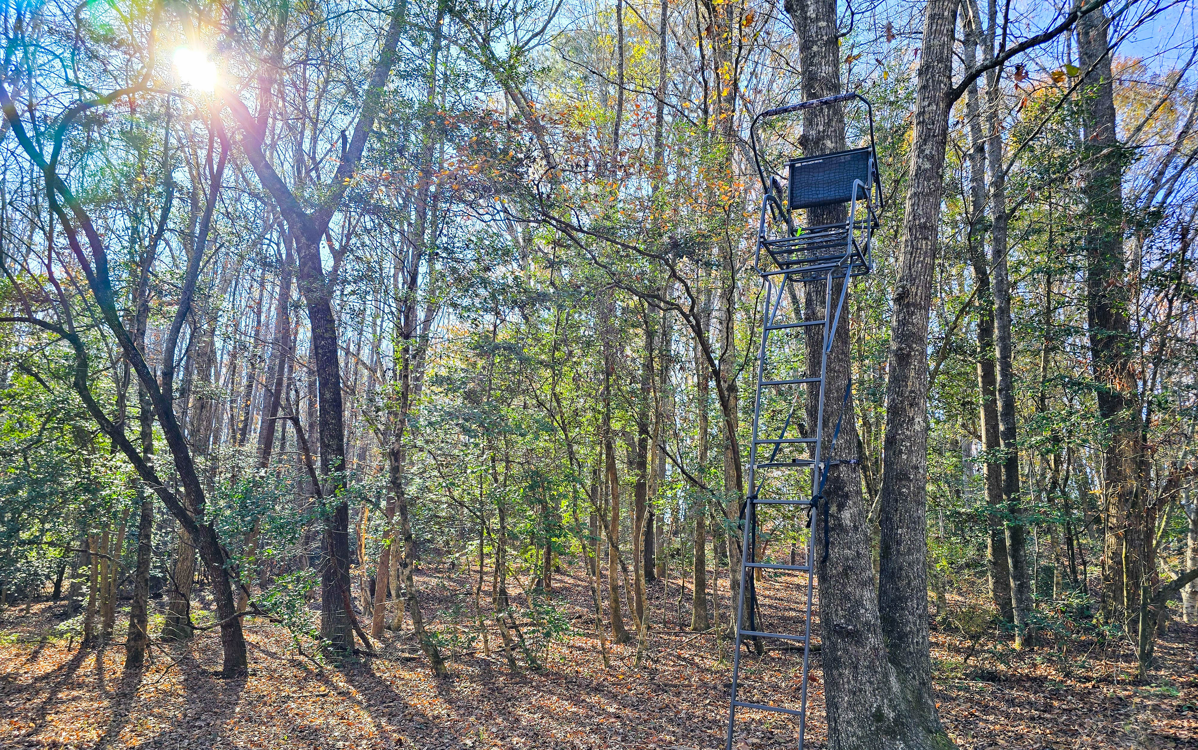 The Best Ladder Stands on a Budget | Outdoor Life, image size:4000x2504